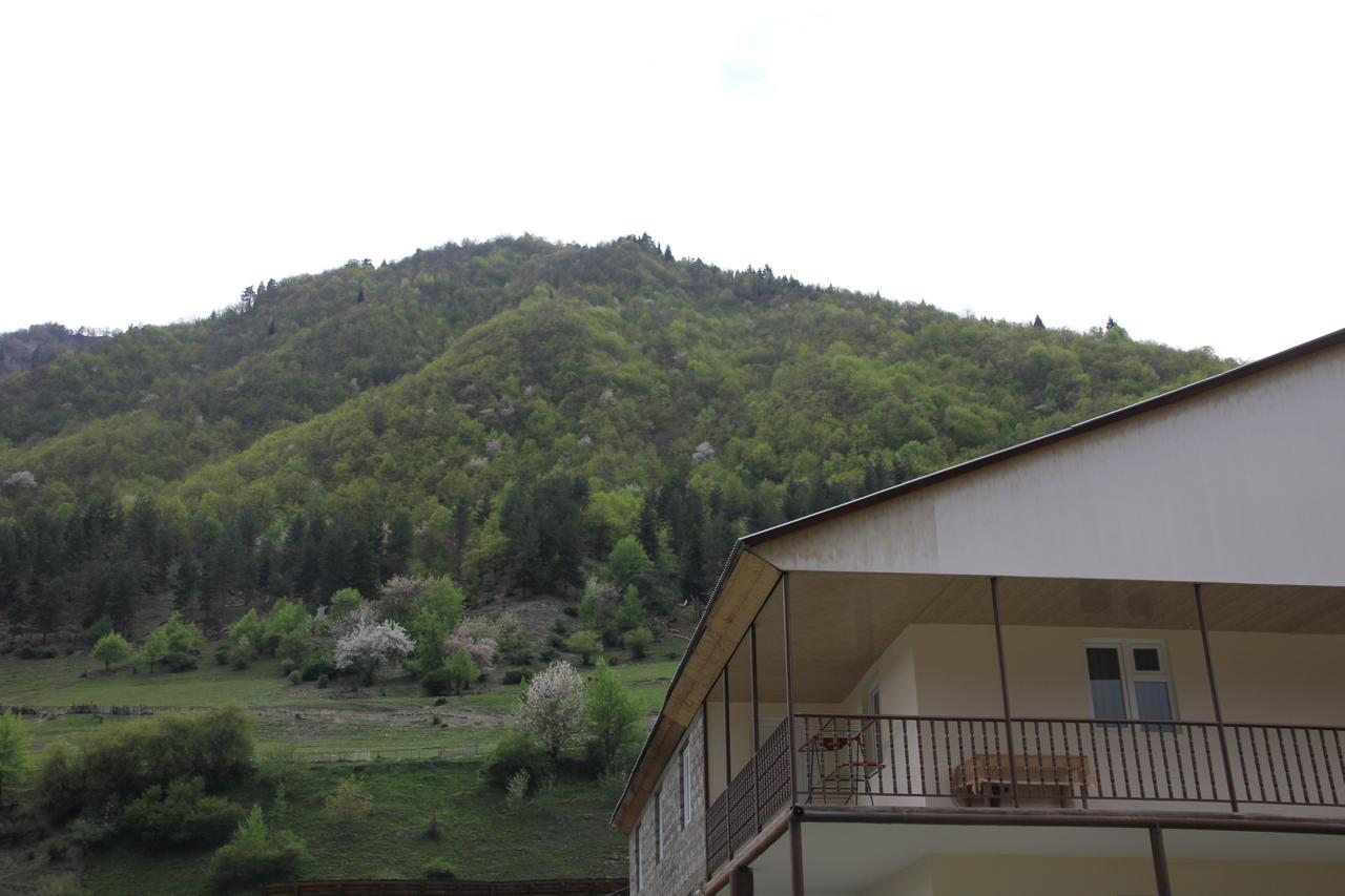 Guesthouse Qarim Mestia Luaran gambar